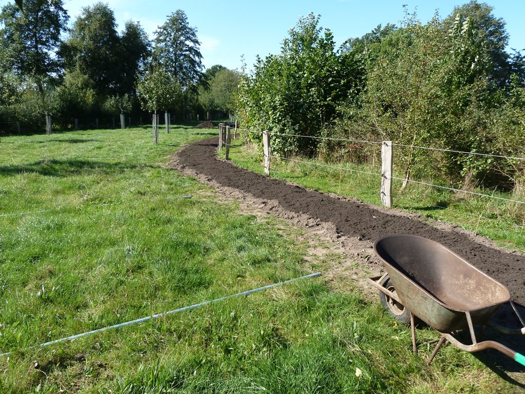Fruithaag aanleggen; Laag compost